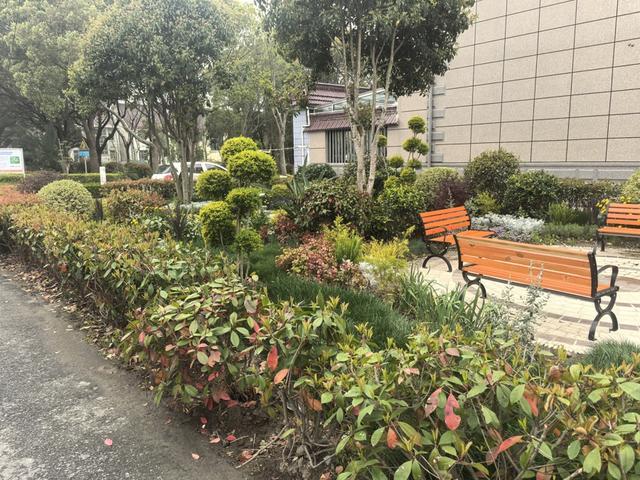 园”“一桌四椅”如何让居民变身“当家人”？麻将胡了免费试玩从“违建死角”到“社区