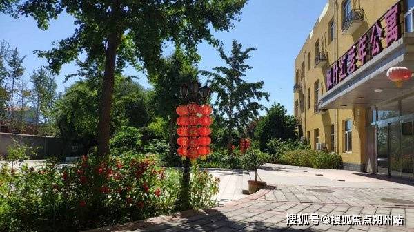 老照料中心咨询指南：服务内容、收费标准及