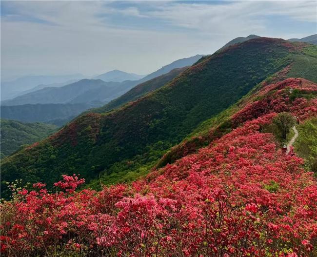 好？2026十款高颜值年礼推荐摆出来有年味麻将胡了试玩网站免费春节给长辈送什么礼品(图4)