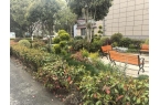 园”“一桌四椅”如何让居民变身“当家人”